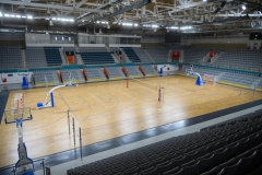 Arena-19
