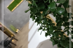 IMG20230407092043